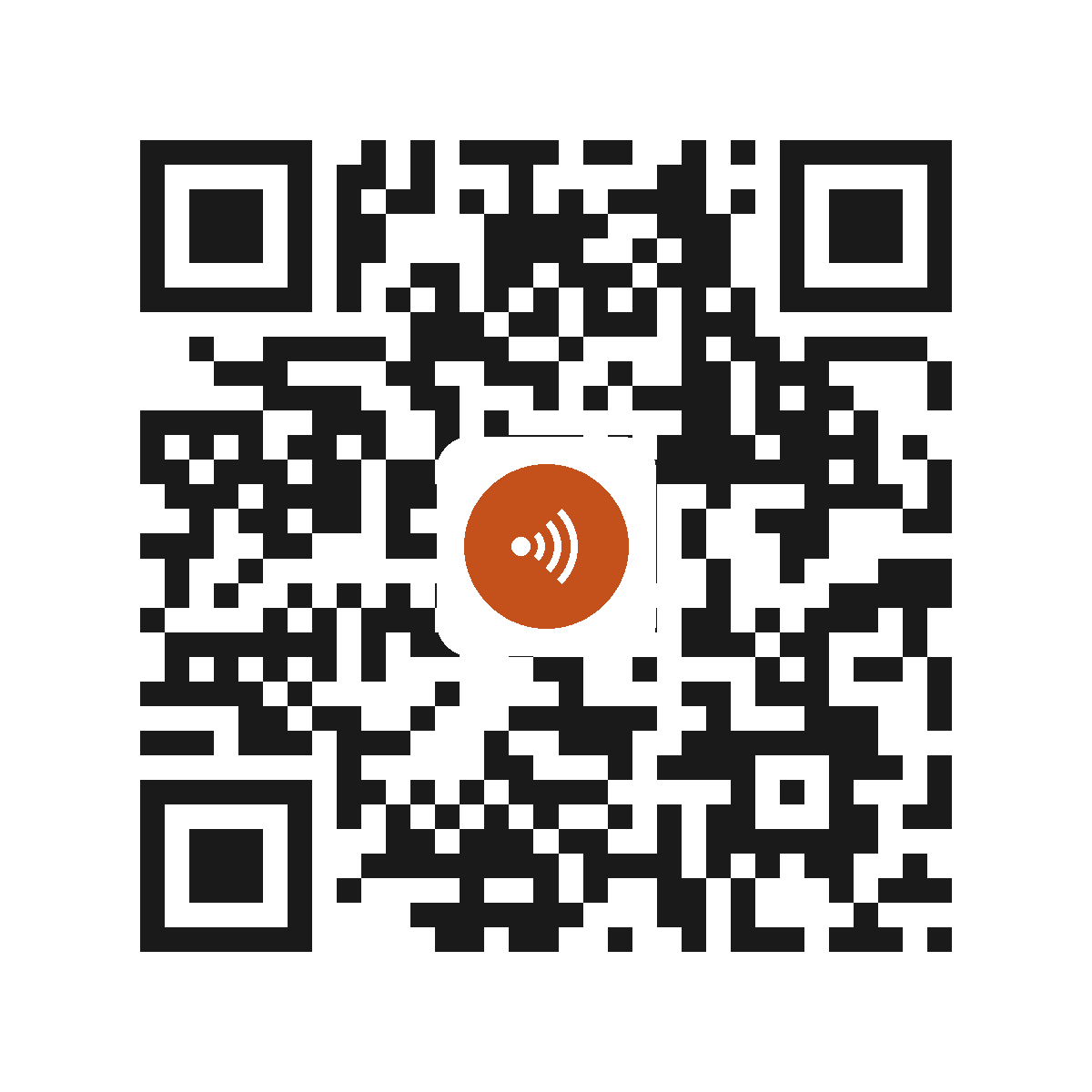 2941DMS
