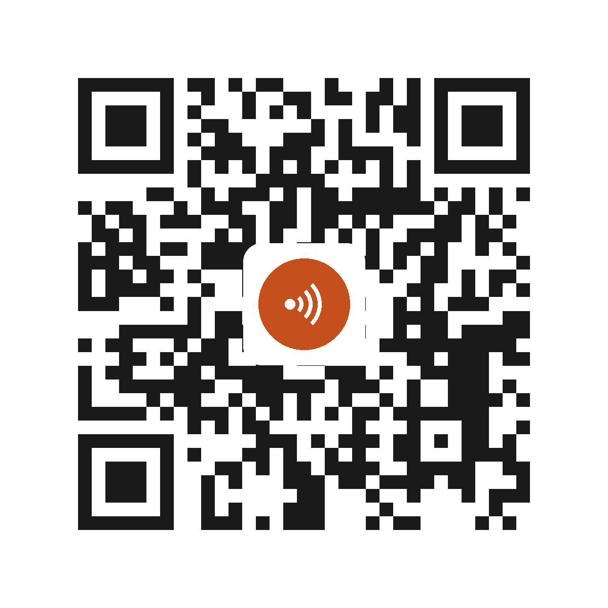 AM8933PI