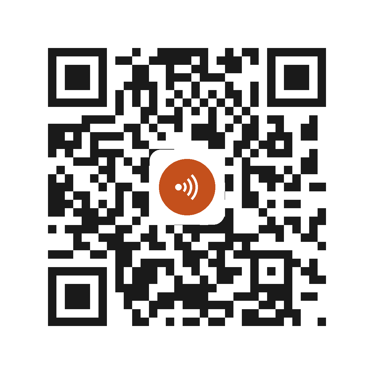 IB3199IP
