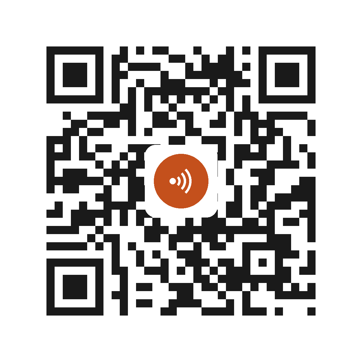 IB4841XT