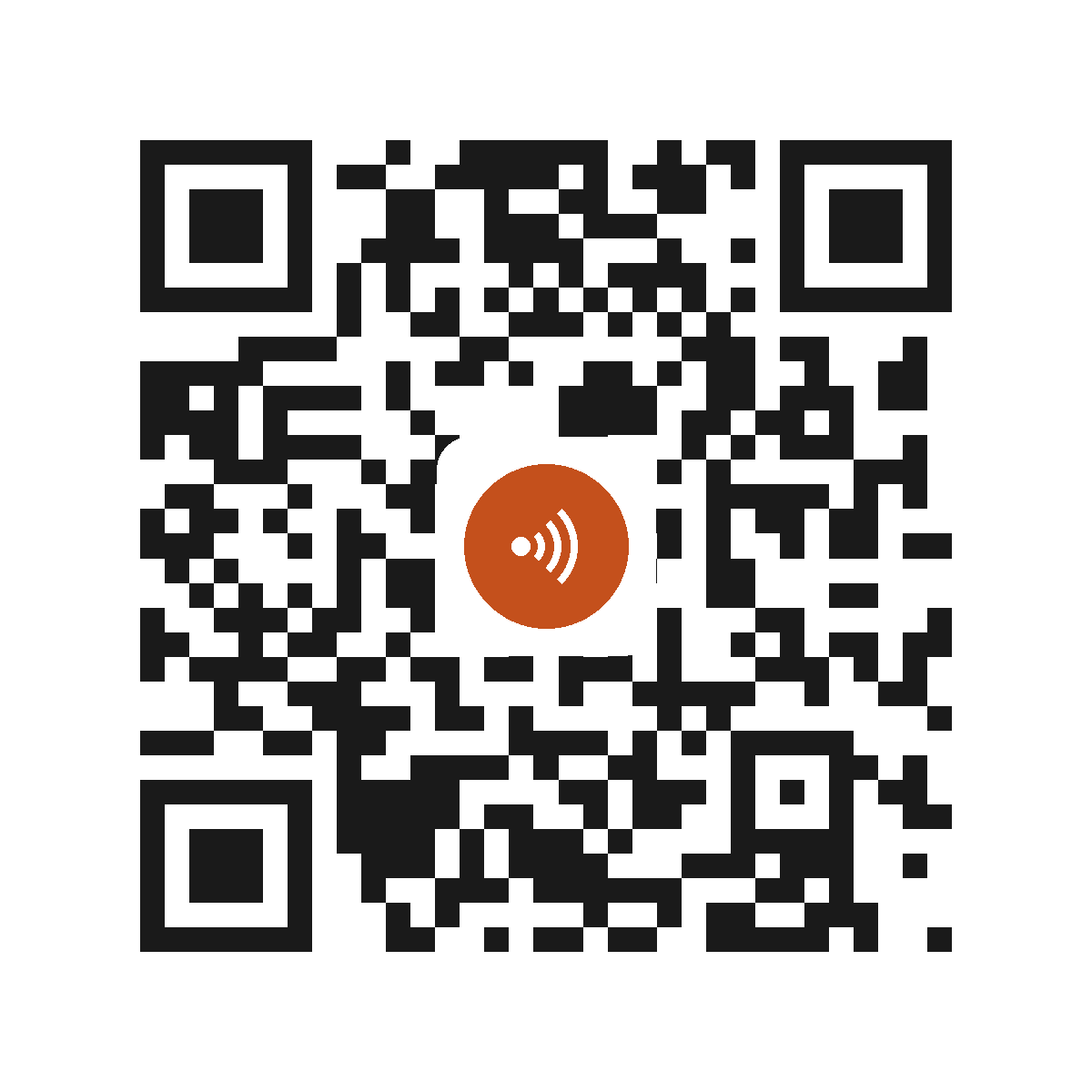 IB4963AI