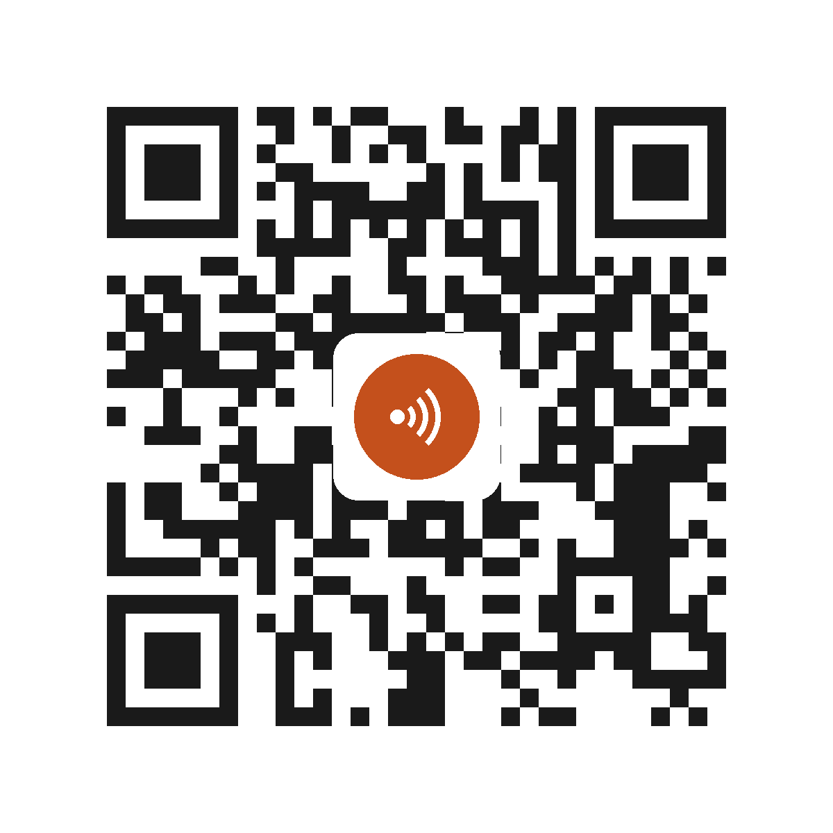 II3841IP